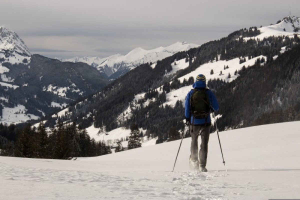 Raquettes à neige  du Brézouard - Bonjour Alsace