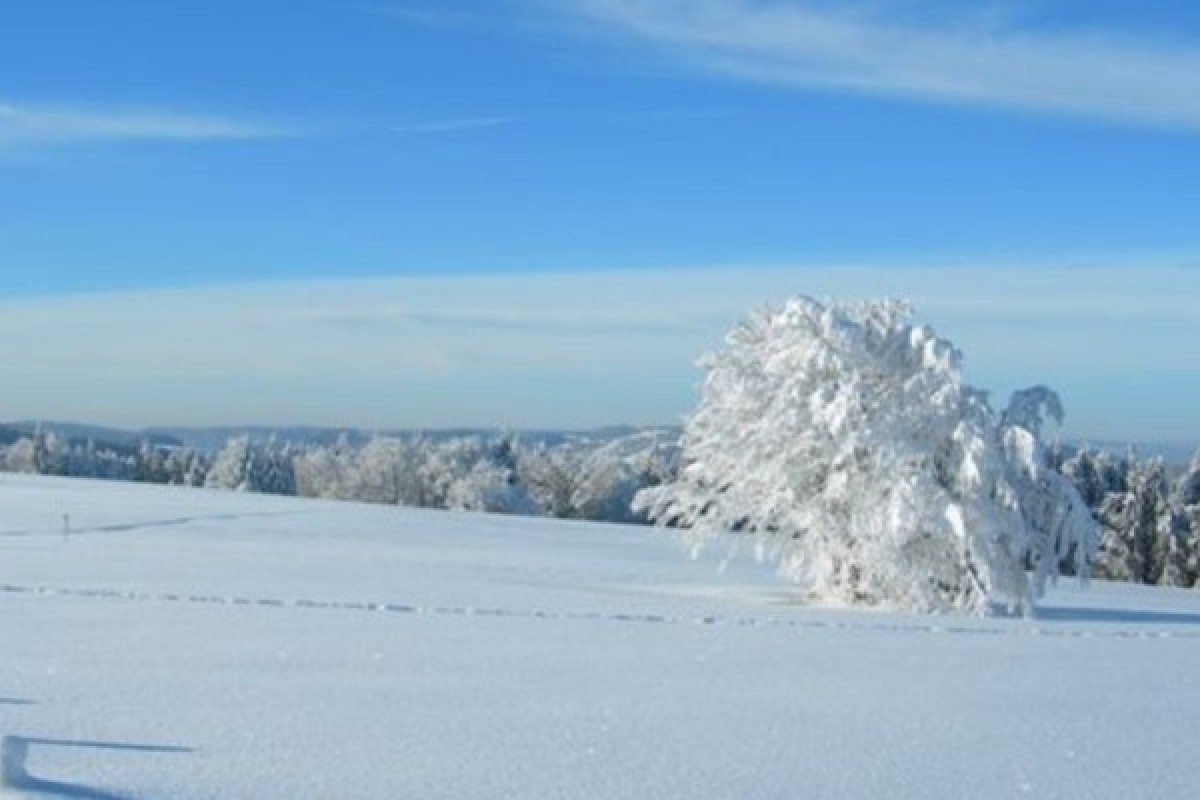 Raquettes à neige du col de la Schlucht - Bonjour Alsace