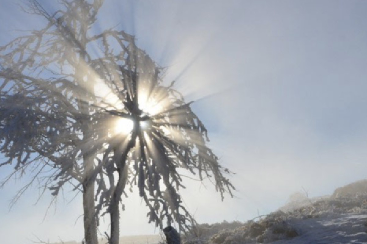 Raquettes à neige du Rouge Gazon - Bonjour Alsace