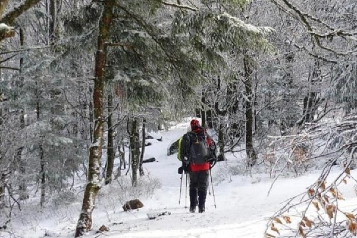 Raquettes à neige du Rouge Gazon - Bonjour Alsace