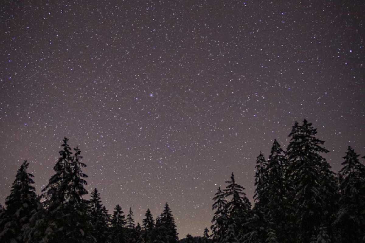 Raquettes à neige nocturne au Markstein - Bonjour Alsace