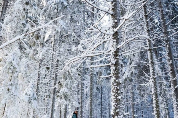Raquettes à neige privative au Breitfirst - Bonjour Alsace