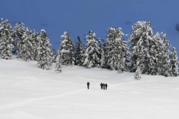 Raquettes à neige privative au Lac de la Lauch - Bonjour Alsace