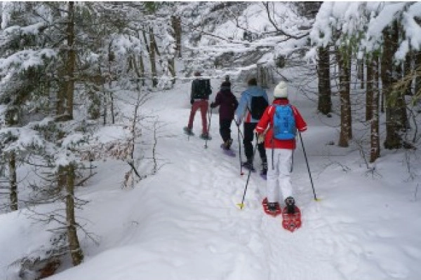 Raquettes à neige privative dans les vosges - Bonjour Alsace