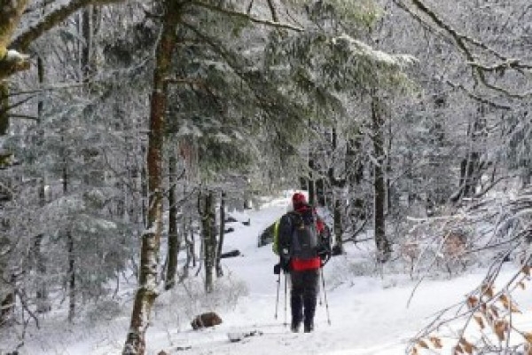 Raquettes à neige privative sur les chaumes du Huss - Bonjour Alsace