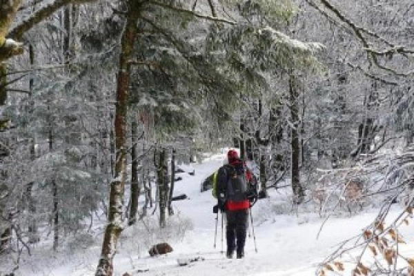 Raquettes à neige privative sur les chaumes du Huss - Bonjour Alsace