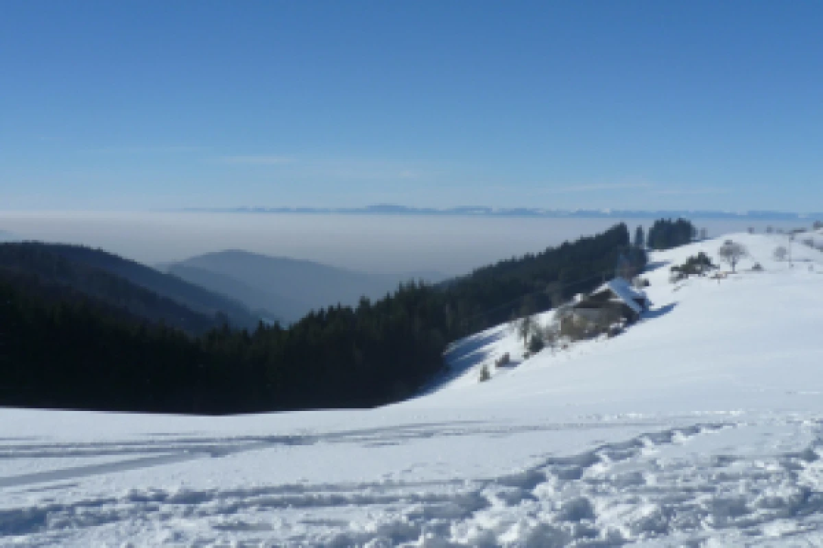 raquettes à neige privative - Bonjour Alsace