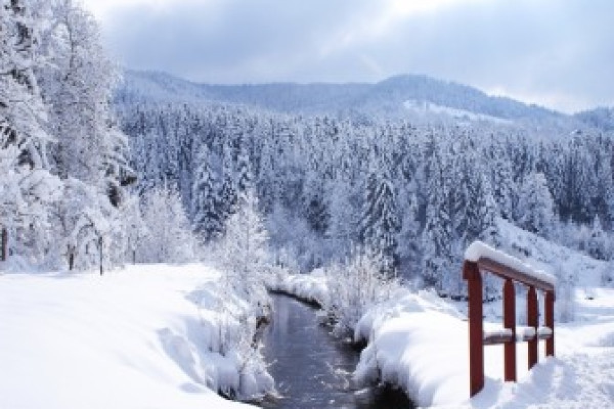 Raquettes privative du Grand Ventron - Bonjour Alsace