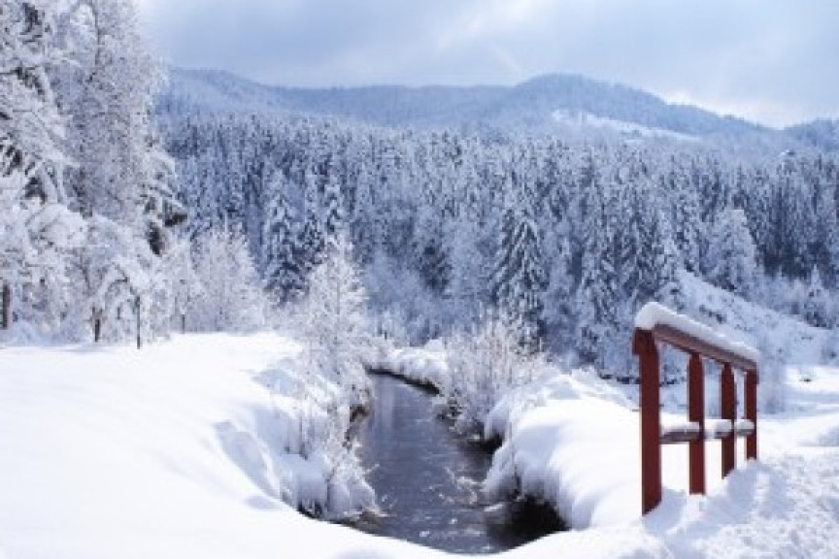 Raquettes  privative du Grand Ventron - Bonjour Alsace