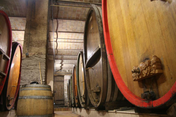 Rencontrez le vigneron dans son élément! - Bonjour Alsace Rencontrez le vigneron dans son élément! - Bonjour Alsace