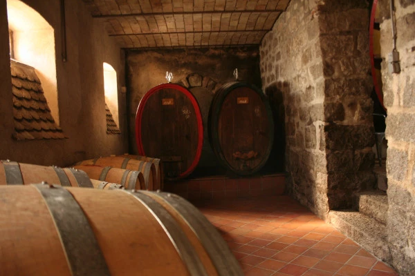 Rencontrez le vigneron dans son élément! - Bonjour Alsace