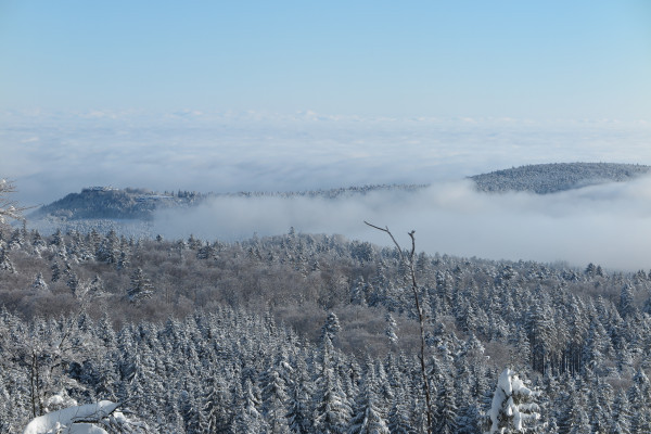 Bonjour Alsace | Rocher du Neuntelstein en raquettes à neige