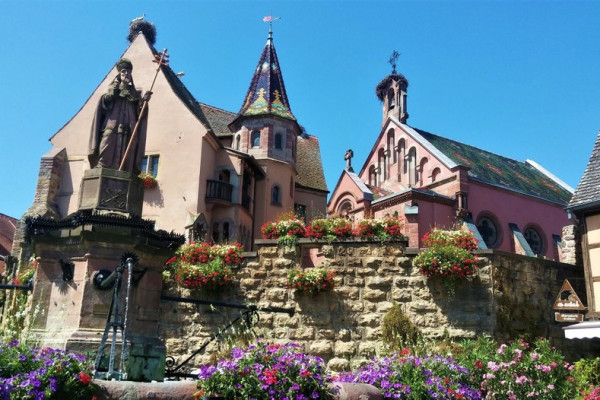 Bonjour Alsace | Safari-Tour Les emblématiques journée