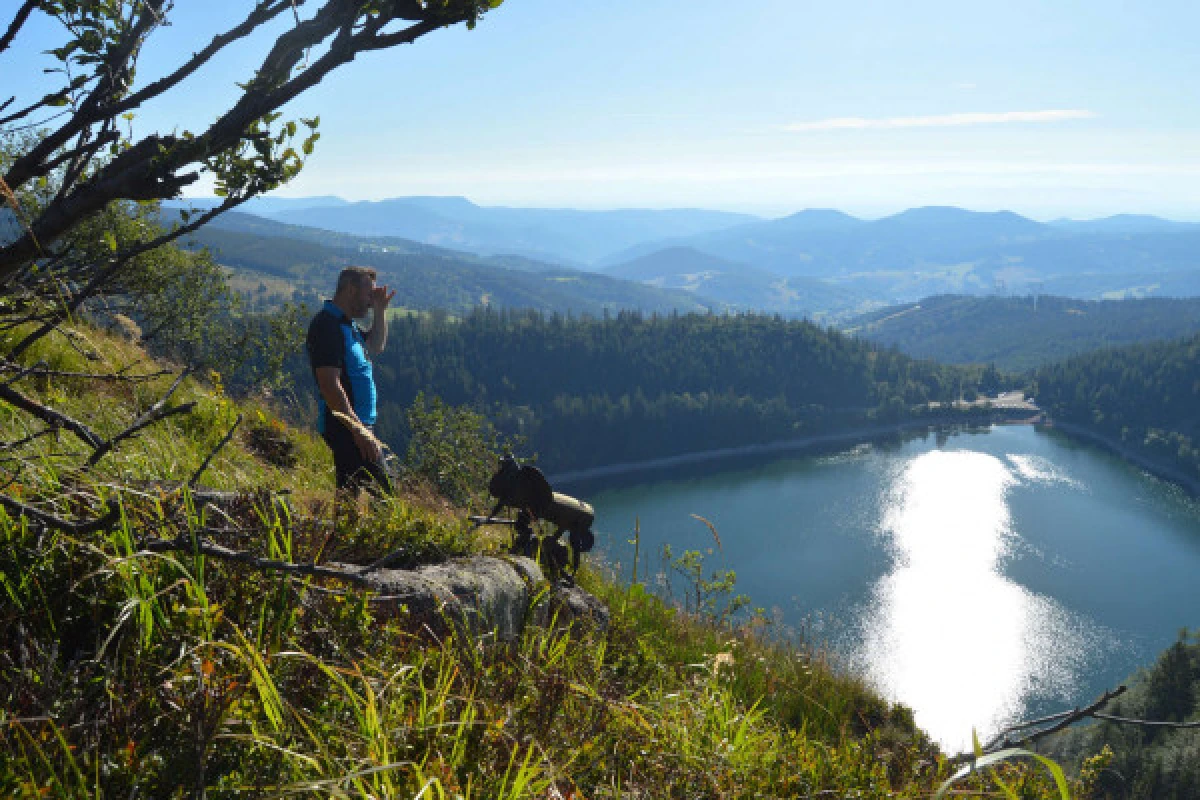 Sortie 'A la rencontre des chamois' - Bonjour Alsace