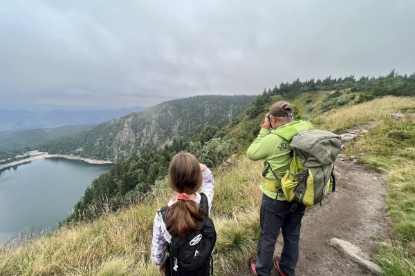 Sortie à la rencontre des chamois - Bonjour Alsace