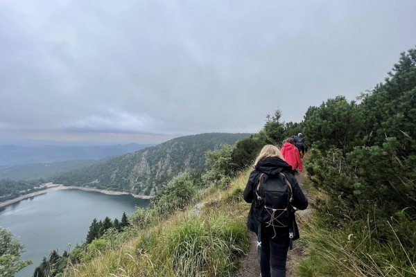 Sortie 'A la rencontre des chamois' - Bonjour Alsace