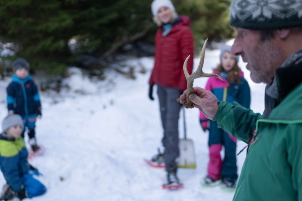 Sortie raquettes P'tits Trappeurs - Bonjour Alsace