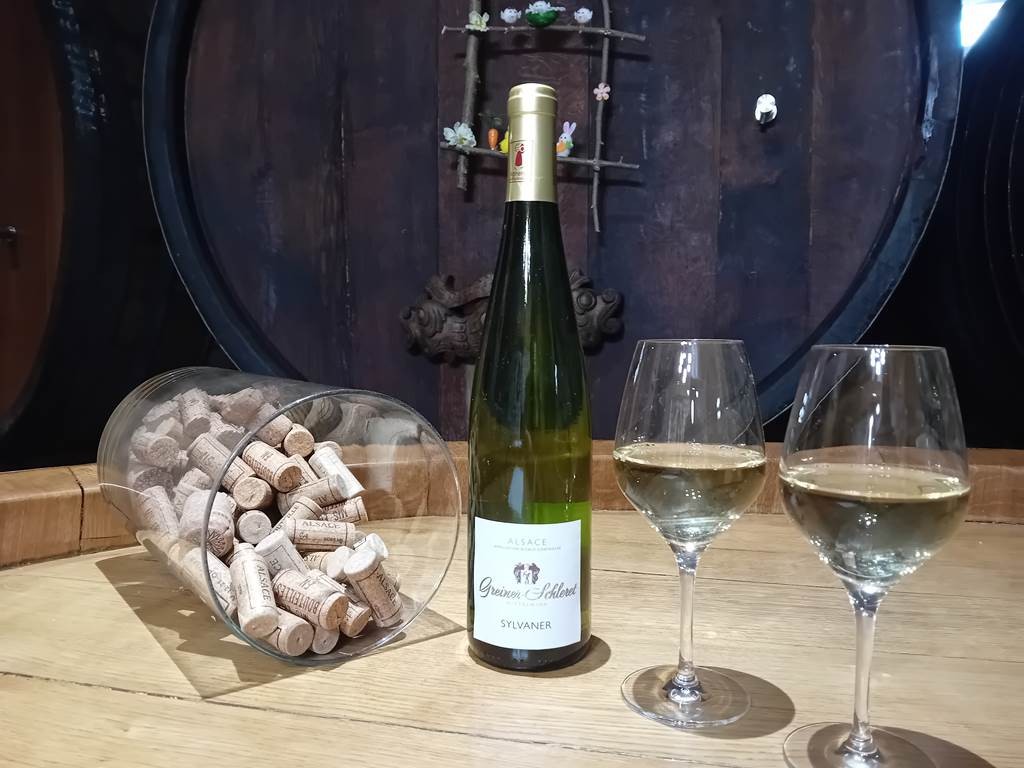 Sylvaner - Bonjour Alsace