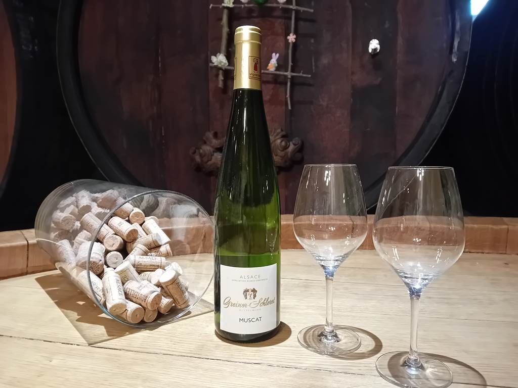 Sylvaner - Bonjour Alsace