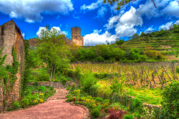 Bonjour Alsace | Terroirs d'Alsace : sur la Route des Vins - KAYSERSBERG
