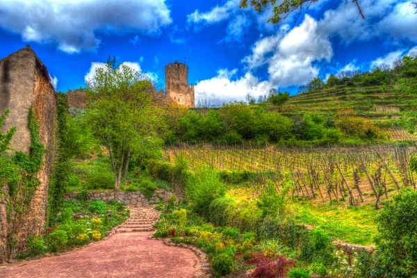 Bonjour Alsace | Terroirs d'Alsace : sur la Route des Vins - KAYSERSBERG