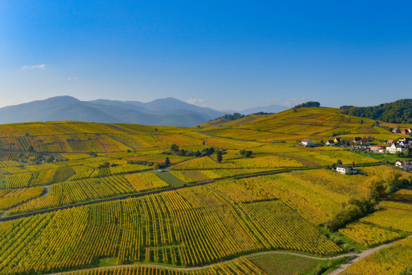 Bonjour Alsace | Terroirs d'Alsace : sur la Route des Vins - KAYSERSBERG