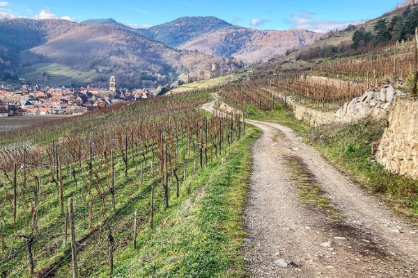 Bonjour Alsace | Terroirs d'Alsace : sur la Route des Vins - KAYSERSBERG