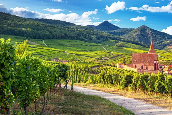 Bonjour Alsace | Terroirs d'Alsace : sur la Route des Vins - RIQUEWIHR