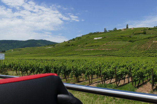 Tour "Best Of Alsace" depuis Strasbourg - Bonjour Alsace