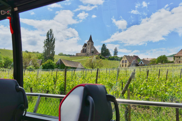 Tour des "Perles du Vignoble" depuis Strasbourg - Bonjour Alsace