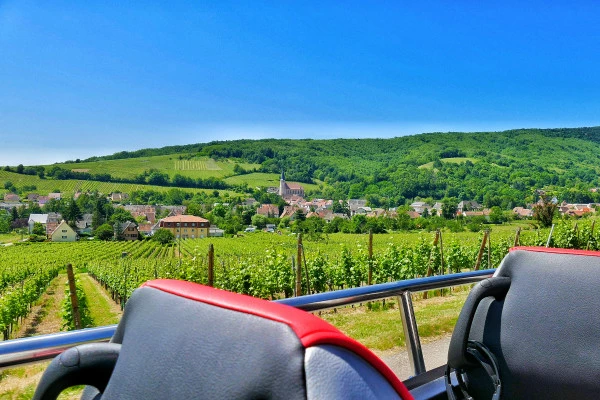 Tour Privé "Coeur d'Alsace" depuis Strasbourg - Bonjour Alsace
