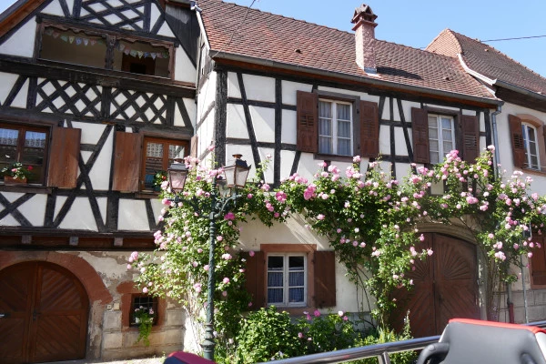 Bonjour Alsace | Tour "Coeur d'Alsace" depuis Strasbourg