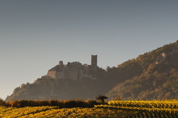 vignoble Alsacien et dégustation - Bonjour Alsace