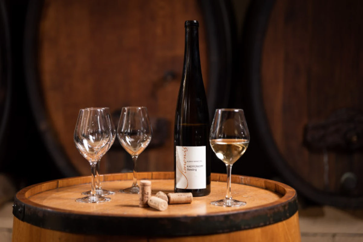 Vins Bio: Découverte et Dégustation avec les Vignerons! - Bonjour Alsace