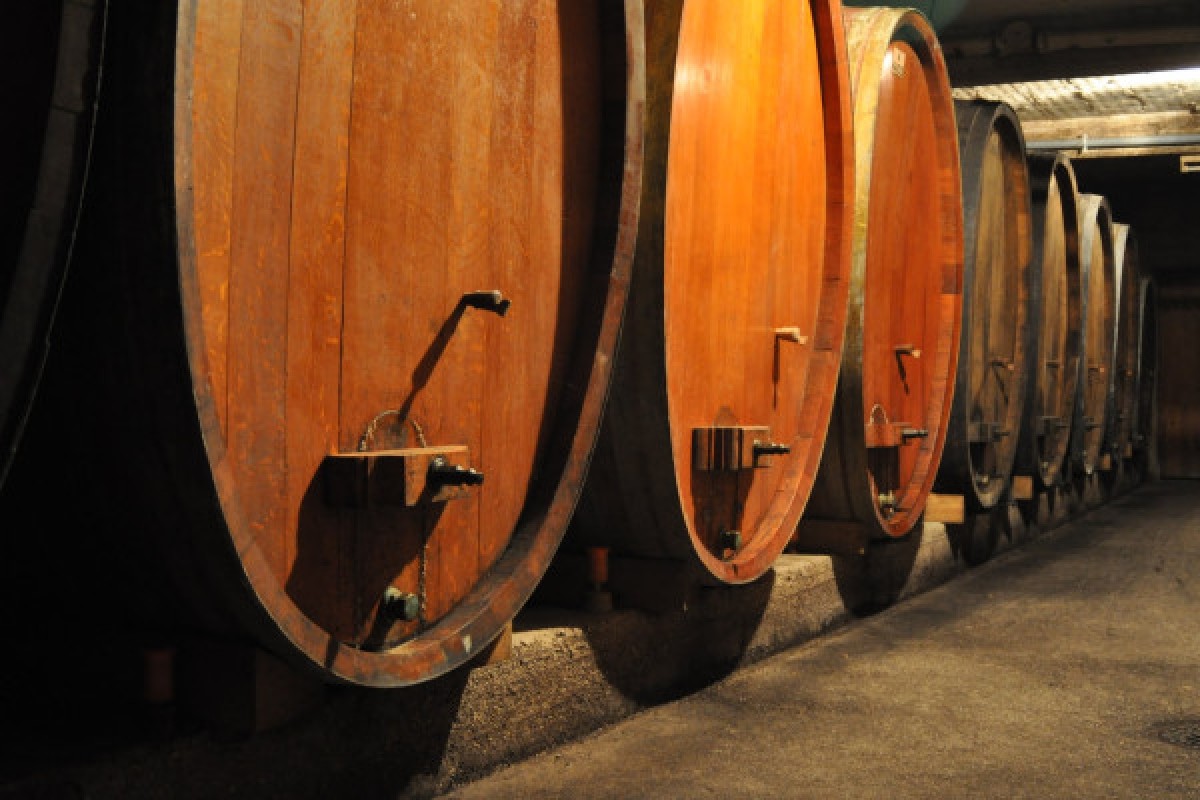 Vin nouveau chez le Vigneron Indépendant - Bonjour Alsace