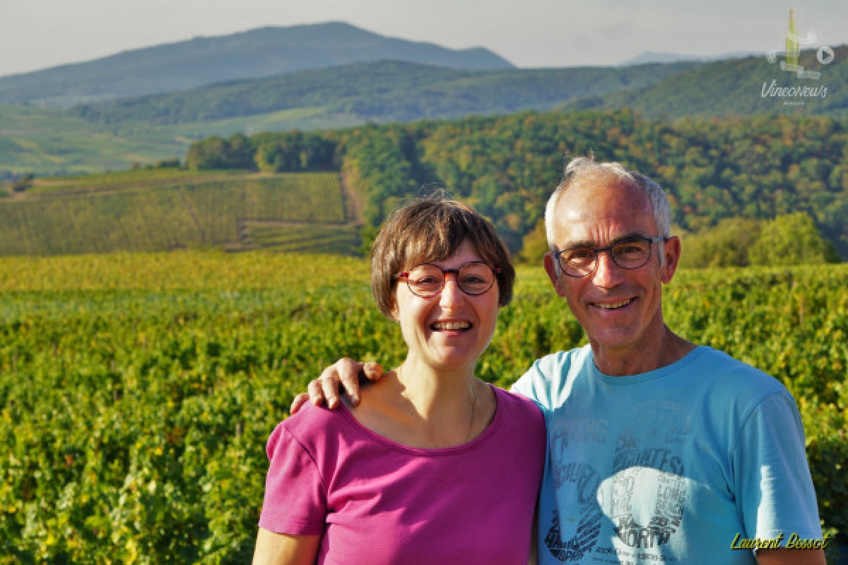 Vin nouveau chez le Vigneron Indépendant - Bonjour Alsace