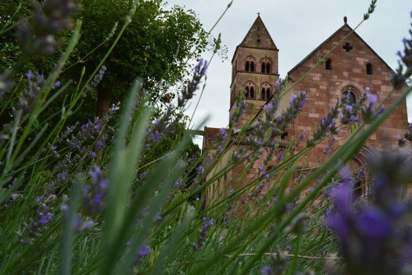 Bonjour Alsace | Visite guidée : les vignes des Impératrices et Empereurs