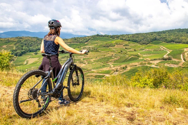 Visite audio-guidée du vignoble en VTT à assistance électrique. - Bonjour Alsace