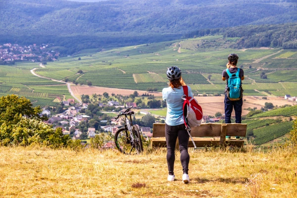 Visite audio-guidée du vignoble en VTT à assistance électrique. - Bonjour Alsace