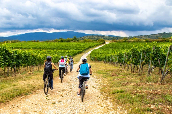 Visite audio-guidée du vignoble en VTT à assistance électrique. - Bonjour Alsace