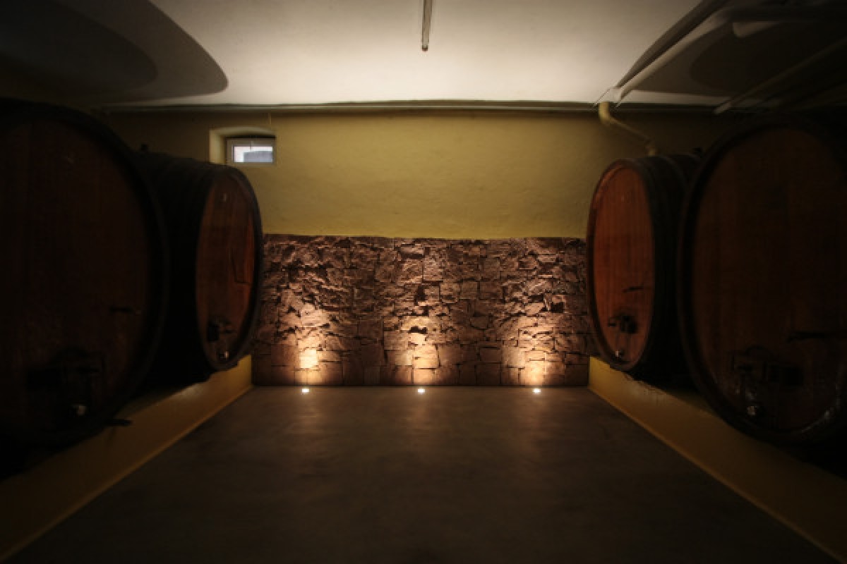 Visite de cave & dégustation - Formule Gourmande - Bonjour Alsace