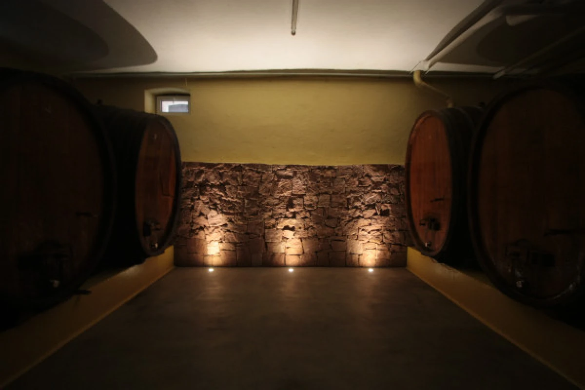 Visite de cave & dégustation - Formule Gourmande - Bonjour Alsace