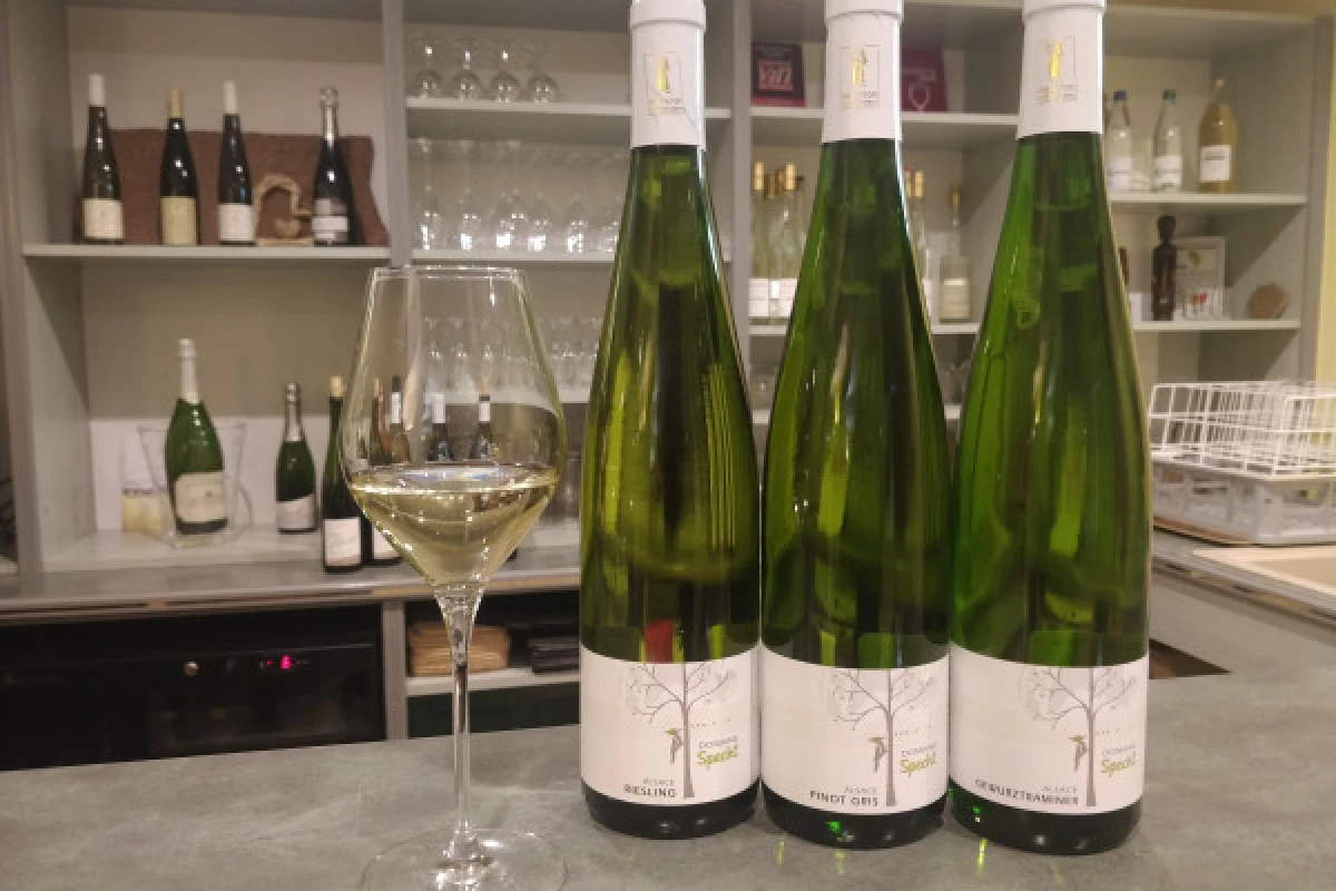 Visite de cave & dégustation - Formule Premium - Bonjour Alsace