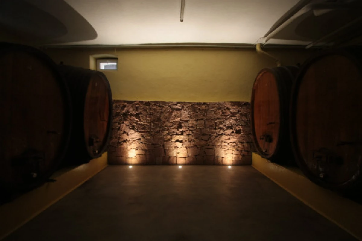 Visite de cave & dégustation - Formule traditionnelle - Bonjour Alsace