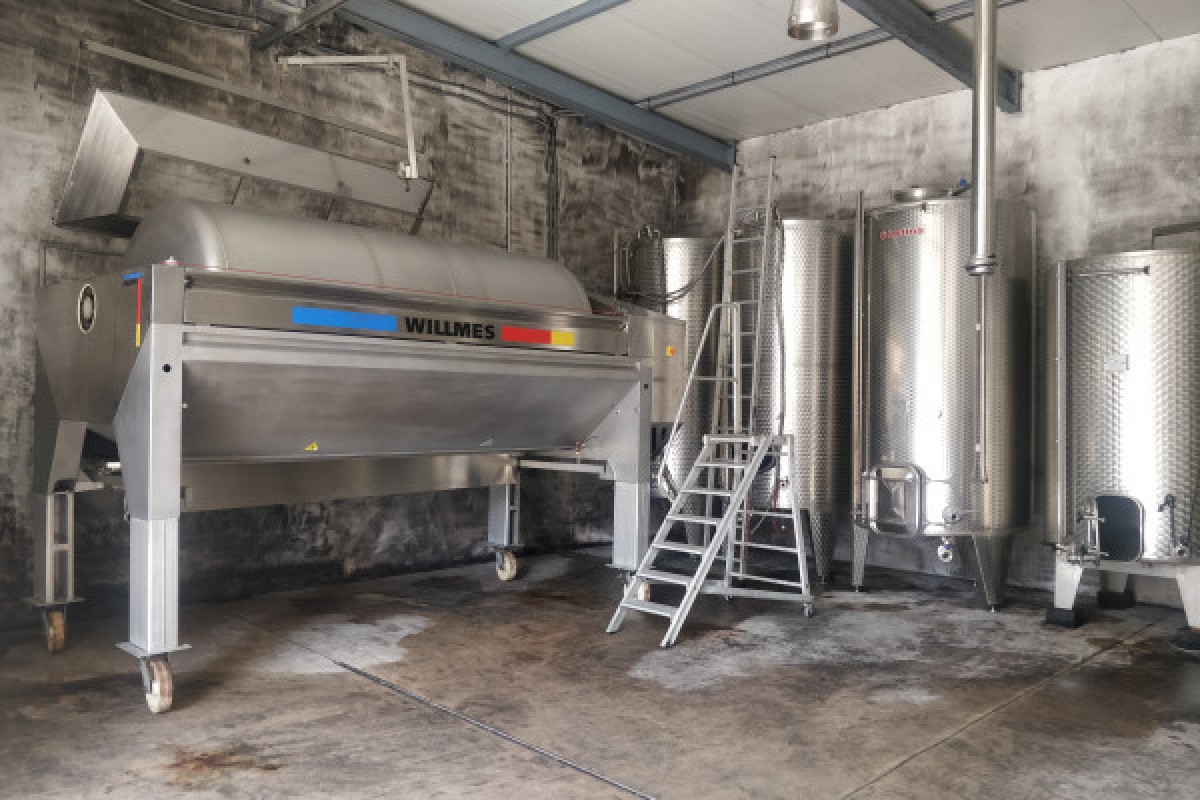 Visite de cave & dégustation - Formule traditionnelle - Bonjour Alsace