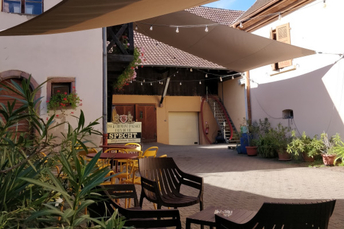 Visite de cave & dégustation - Formule traditionnelle - Bonjour Alsace