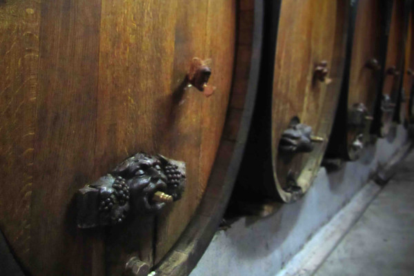 Visite de cave et dégustation de vin bio à Ammerschwihr - Bonjour Alsace