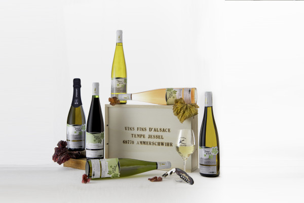 Visite de cave et dégustation de vin bio à Ammerschwihr - Bonjour Alsace