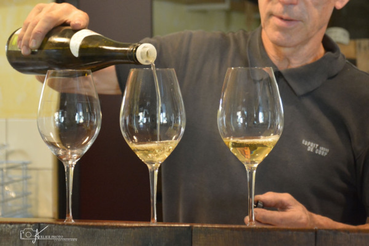 Visite de cave et dégustation - Bonjour Alsace