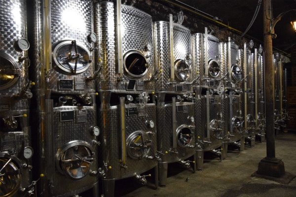 Visite découverte de nos caves en Français - Bonjour Alsace